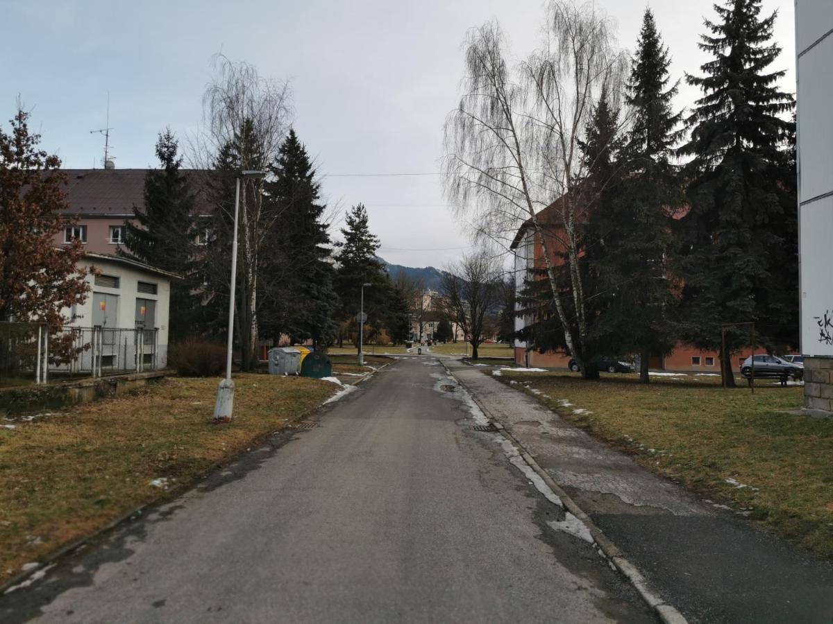 Flat In The Heart Of Liptovsky Mikulas Appartement Buitenkant foto